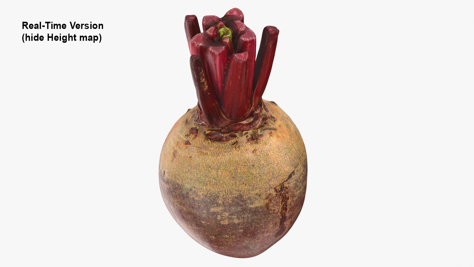 3D Whole Beetroot https://p.turbosquid.com/ts-thumb/kx/nrcXAP/I0/beetroot_0006b/png/1764131414/1920x1080/fit_q87/5f786fb493fd14baa3088a80cdadeab318294810/beetroot_0006b.jpg