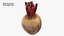 Whole Beetroot