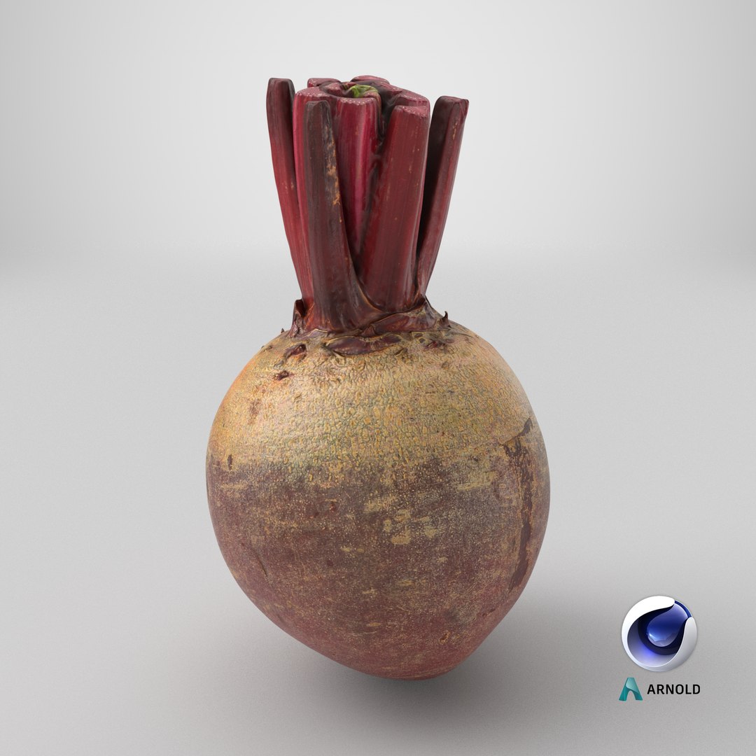3D Whole Beetroot https://p.turbosquid.com/ts-thumb/kx/nrcXAP/Ir/stemcell_cinema_4d_arnold_render/png/1765818202/1920x1080/fit_q87/c5acb01b07de818f959e5a867949a302a2b7784a/stemcell_cinema_4d_arnold_render.jpg