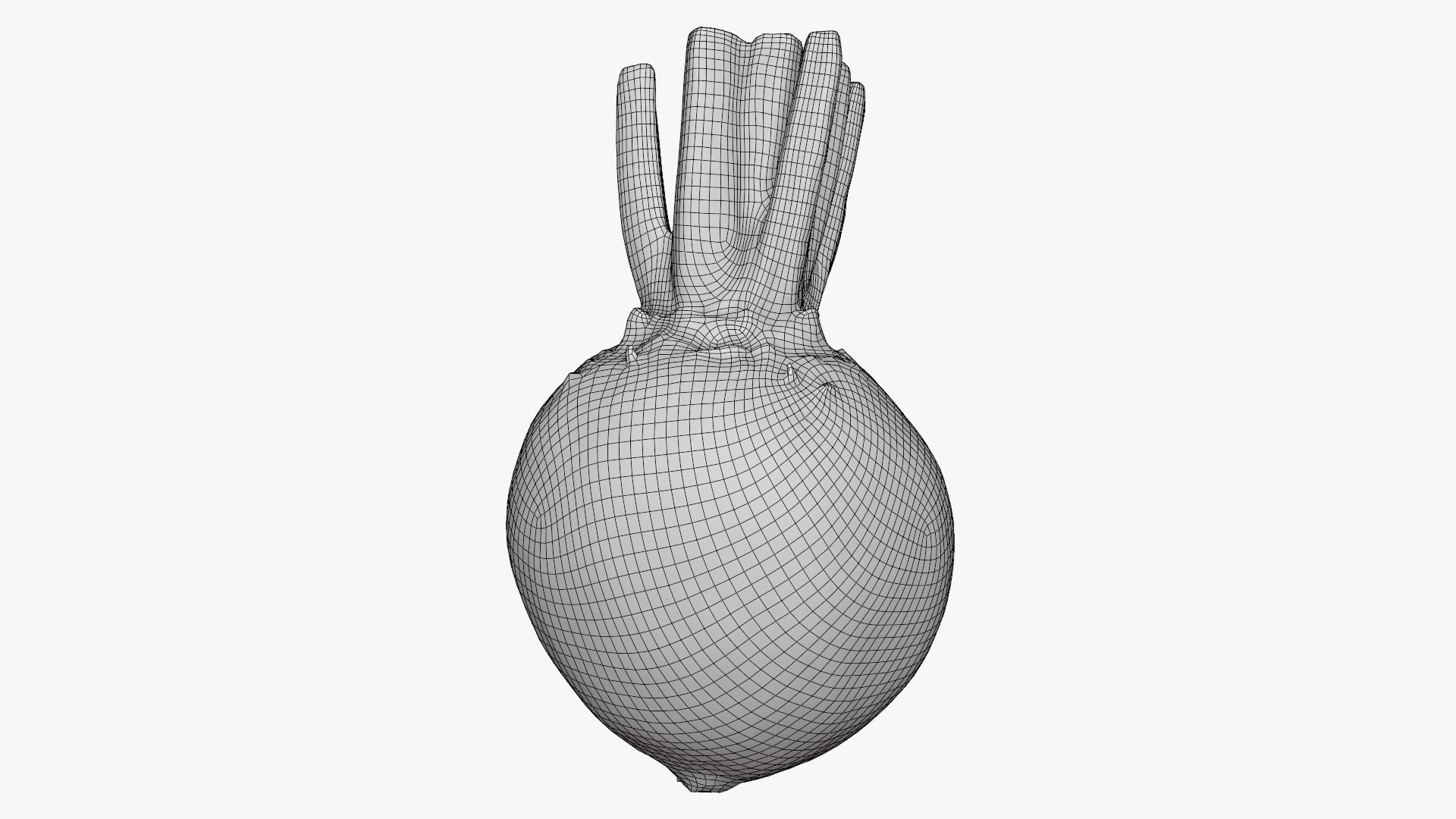 3D Whole Beetroot https://p.turbosquid.com/ts-thumb/kx/nrcXAP/Jb/beetroot_d0002/png/1764131431/1920x1080/fit_q87/28118daadc5ca8351d0ccfc1a8ce79c336ea5d6c/beetroot_d0002.jpg