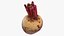 Whole Beetroot