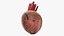 Whole Beetroot