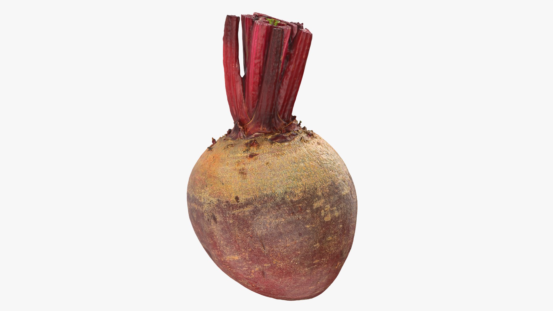 3D Whole Beetroot https://p.turbosquid.com/ts-thumb/kx/nrcXAP/o0/beetroot_0004/png/1764131413/1920x1080/fit_q87/977a6a53e4fa392aa65020982d3231035bd8fdc1/beetroot_0004.jpg