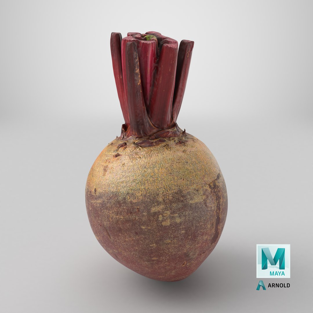 3D Whole Beetroot https://p.turbosquid.com/ts-thumb/kx/nrcXAP/tq/stemcell_maya_arnold_render/png/1765818198/1920x1080/fit_q87/ffc96ec82ff1df9bde2bb7a104eed2888da1cd45/stemcell_maya_arnold_render.jpg