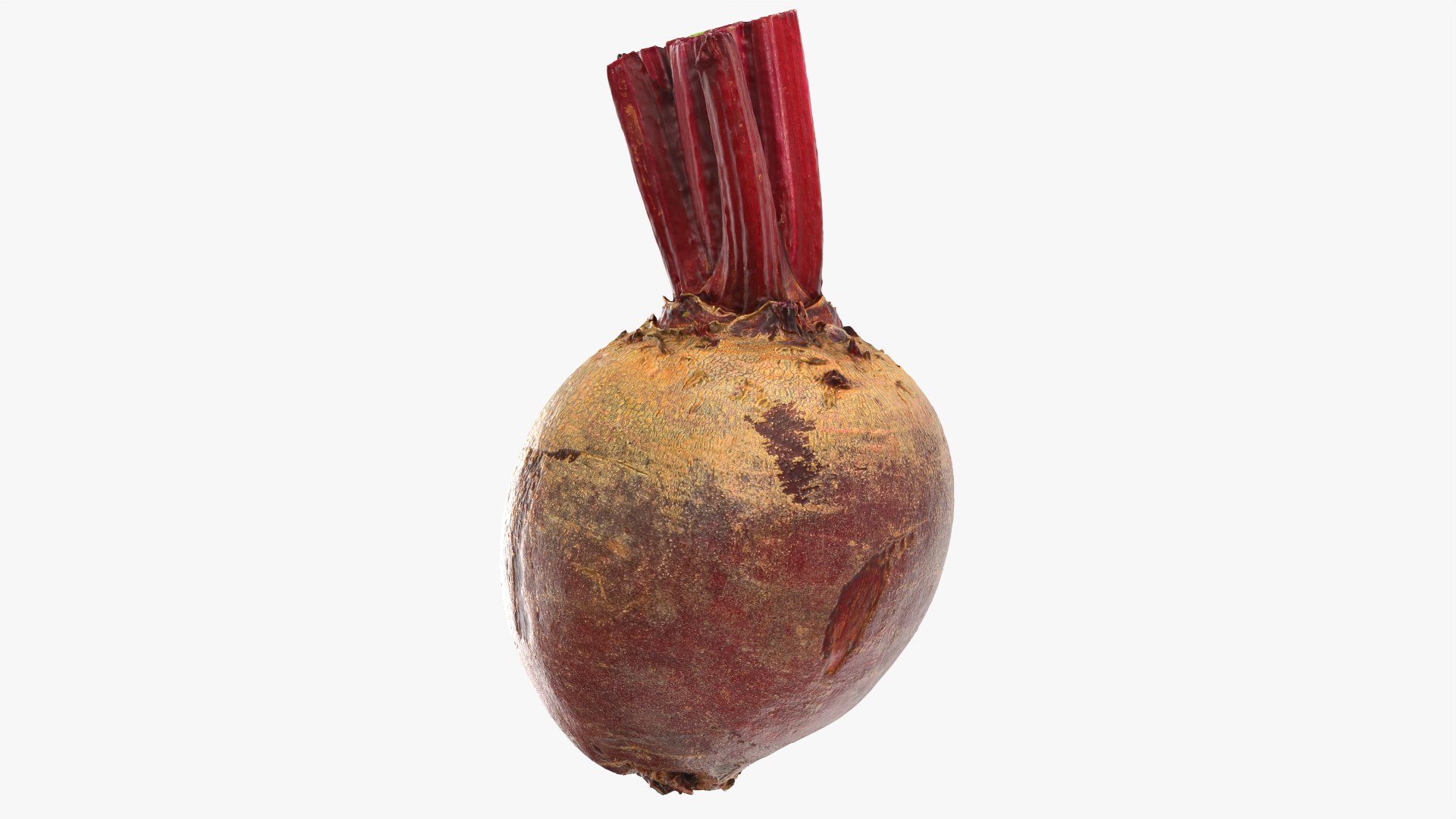 3D Whole Beetroot https://p.turbosquid.com/ts-thumb/kx/nrcXAP/uC/beetroot_0007/png/1764131420/1920x1080/fit_q87/44ee43d071c776d89722e54d3292d7e85355b1a3/beetroot_0007.jpg