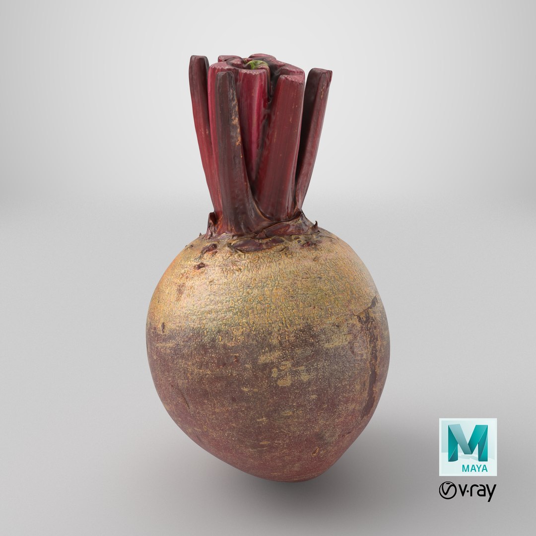 3D Whole Beetroot https://p.turbosquid.com/ts-thumb/kx/nrcXAP/vc/stemcell_maya_vray_render/png/1765818200/1920x1080/fit_q87/619677b233f39dc9338224f2cb7575e1b3fc22d1/stemcell_maya_vray_render.jpg
