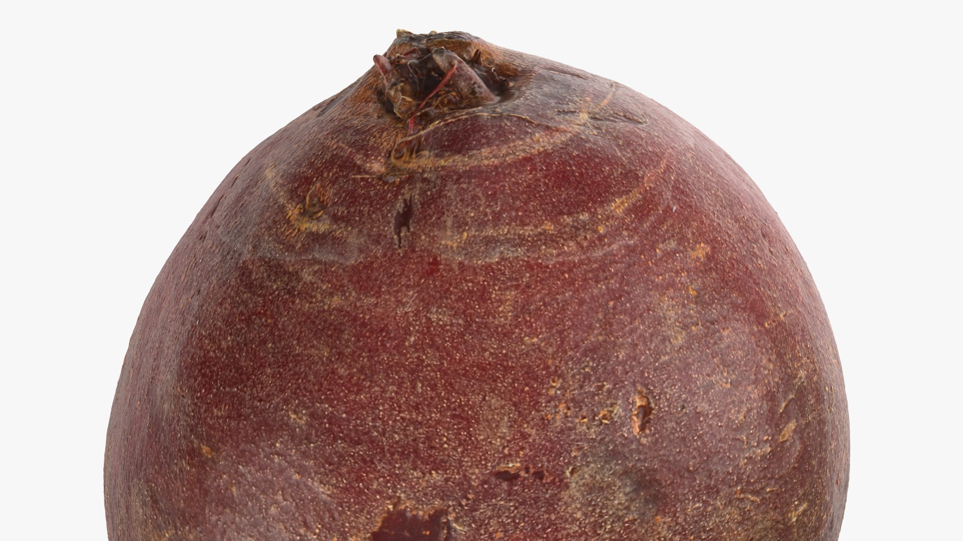 3D Whole Beetroot https://p.turbosquid.com/ts-thumb/kx/nrcXAP/wF/beetroot_0009/png/1764131434/1920x1080/fit_q87/d1153599d8114a6348af9432c6ee559fb082738e/beetroot_0009.jpg