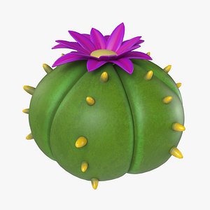 3D cartoon cactus