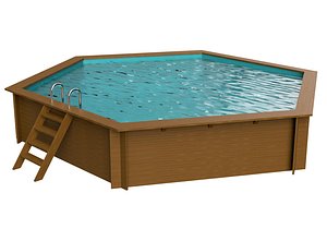 3D model Swimming pool octogonal