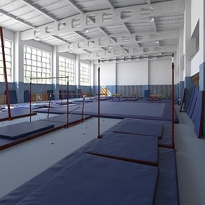 Gymnastics Training Camp