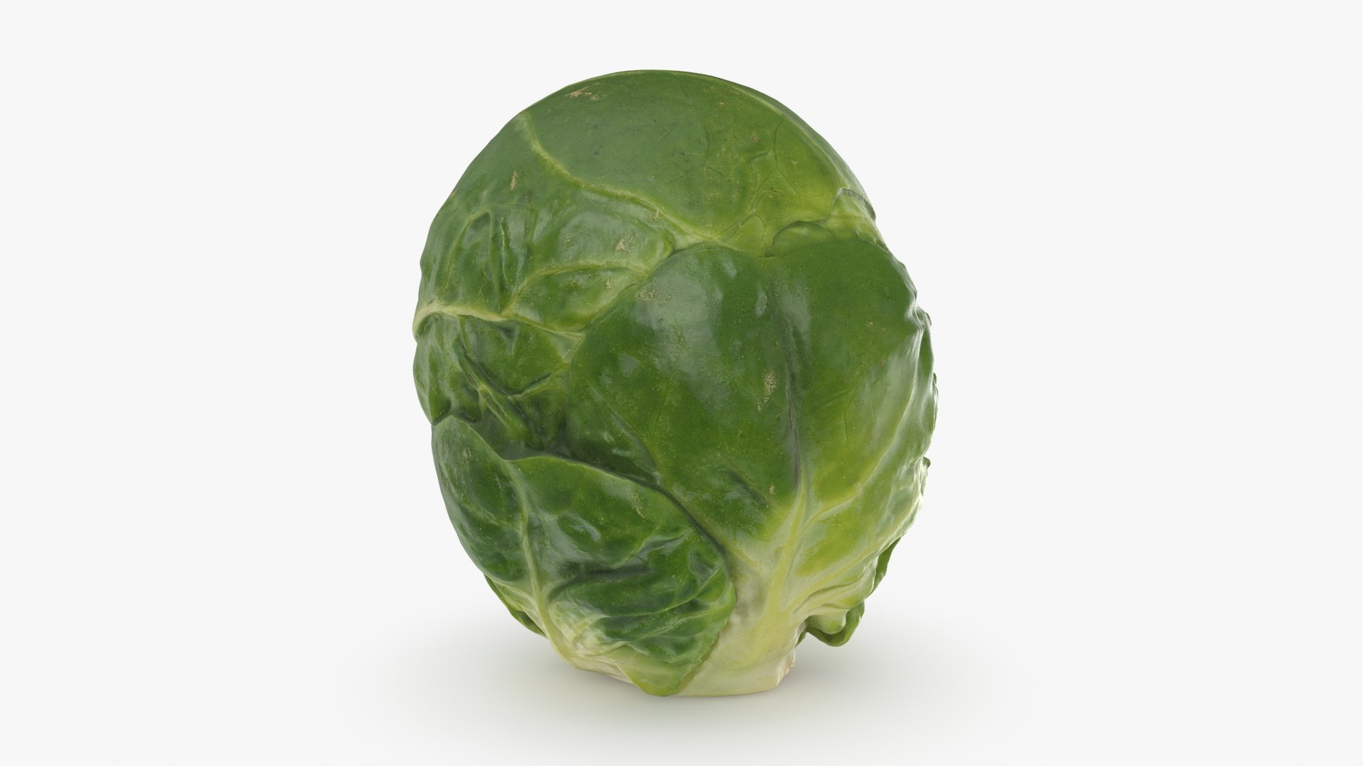 3D model Brussels Sprout 01 https://p.turbosquid.com/ts-thumb/ky/LRhIna/0z/brusselssprout01_b0018/jpg/1735043425/1920x1080/fit_q87/fda0c9ded51dc610d3775c4cef84eea7ff478084/brusselssprout01_b0018.jpg