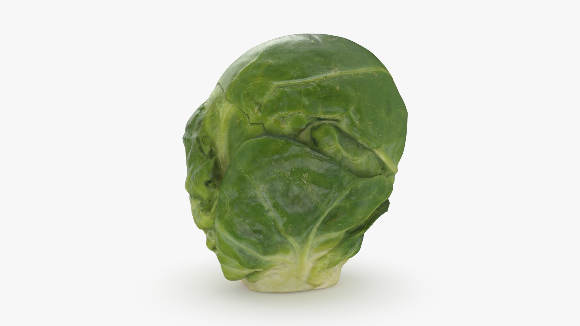 3D model Brussels Sprout 01 https://p.turbosquid.com/ts-thumb/ky/LRhIna/KC/brusselssprout01_b0012/jpg/1735043423/1920x1080/fit_q87/4a81979534e8f9d14296dfc274f15a09b7bc8abc/brusselssprout01_b0012.jpg