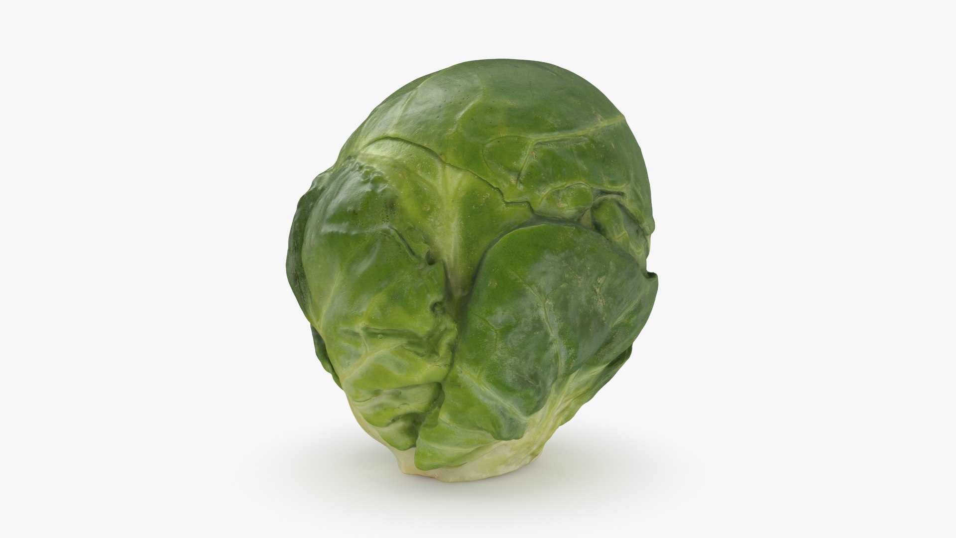 3D model Brussels Sprout 01 https://p.turbosquid.com/ts-thumb/ky/LRhIna/SM/brusselssprout01_b0004/jpg/1735043420/1920x1080/fit_q87/5ea4be0a02098e1c5c5ae93ec3715cef776ff0a6/brusselssprout01_b0004.jpg