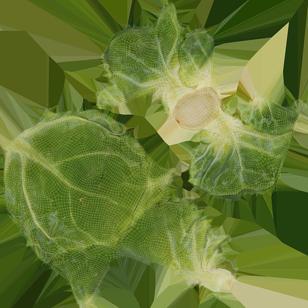 3D model Brussels Sprout 01 https://p.turbosquid.com/ts-thumb/ky/LRhIna/bD/brusselssprout01_d0004/jpg/1735043428/1920x1080/fit_q87/5b9d6369d0bc8a0a3bd91ac817a7110259c2c931/brusselssprout01_d0004.jpg