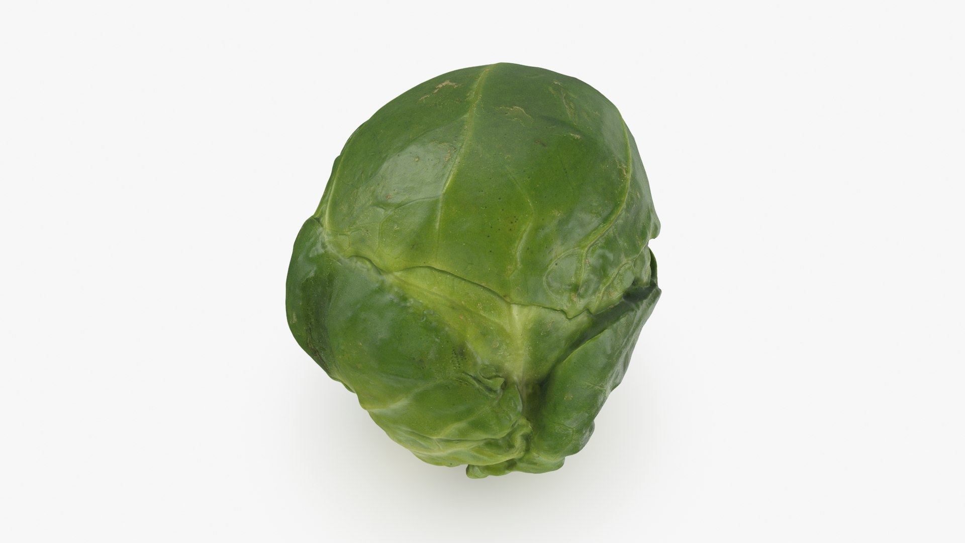 3D model Brussels Sprout 01 https://p.turbosquid.com/ts-thumb/ky/LRhIna/qh/brusselssprout01_b0008/jpg/1735043419/1920x1080/fit_q87/42743504ea691ffcf6abf65e9dc6a8ff0aa7163e/brusselssprout01_b0008.jpg