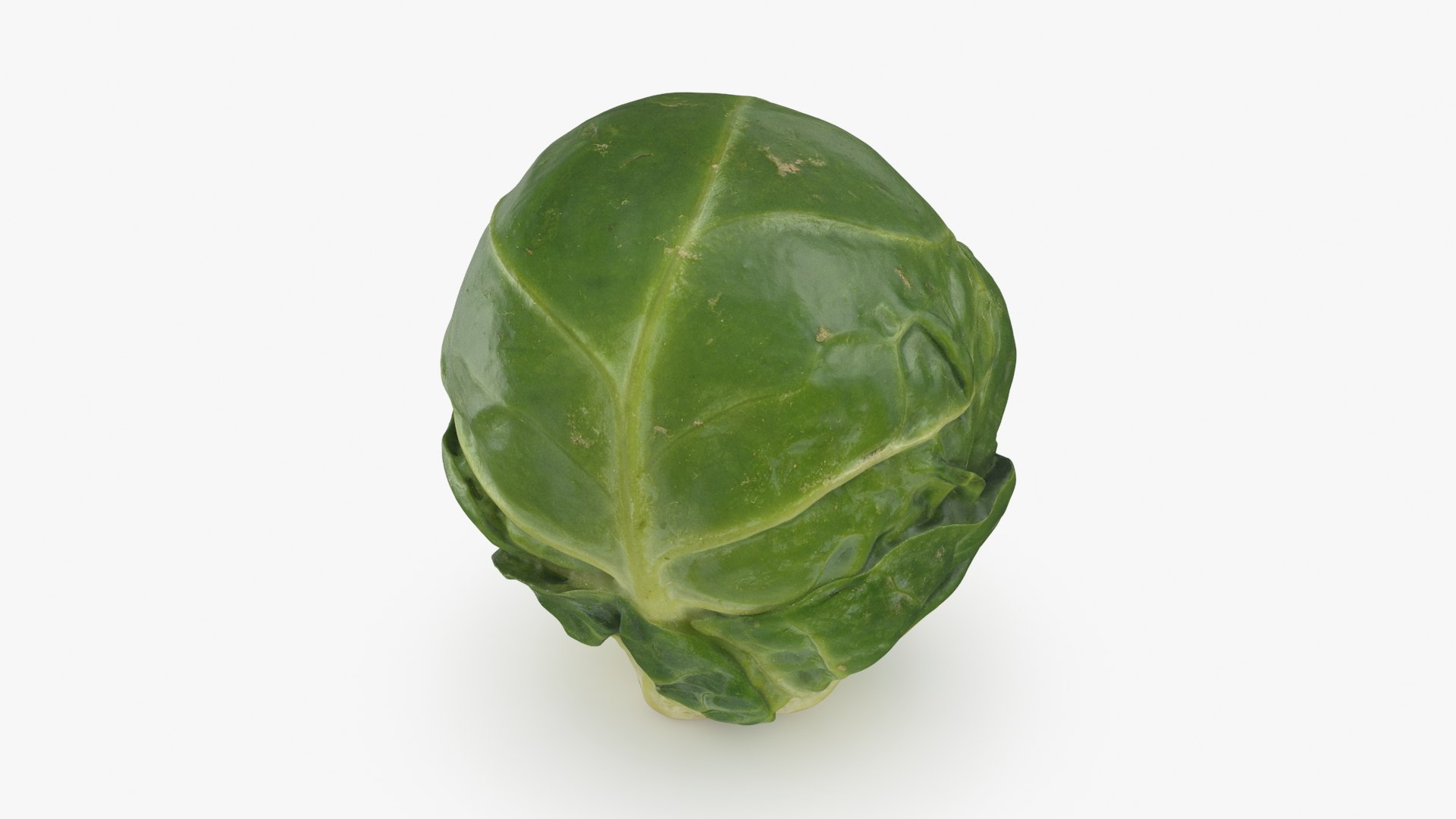 3D model Brussels Sprout 01 https://p.turbosquid.com/ts-thumb/ky/LRhIna/rf/brusselssprout01_b0002/jpg/1735043417/1920x1080/fit_q87/eb1c48c857e482b12c515f07559293aa763613cb/brusselssprout01_b0002.jpg