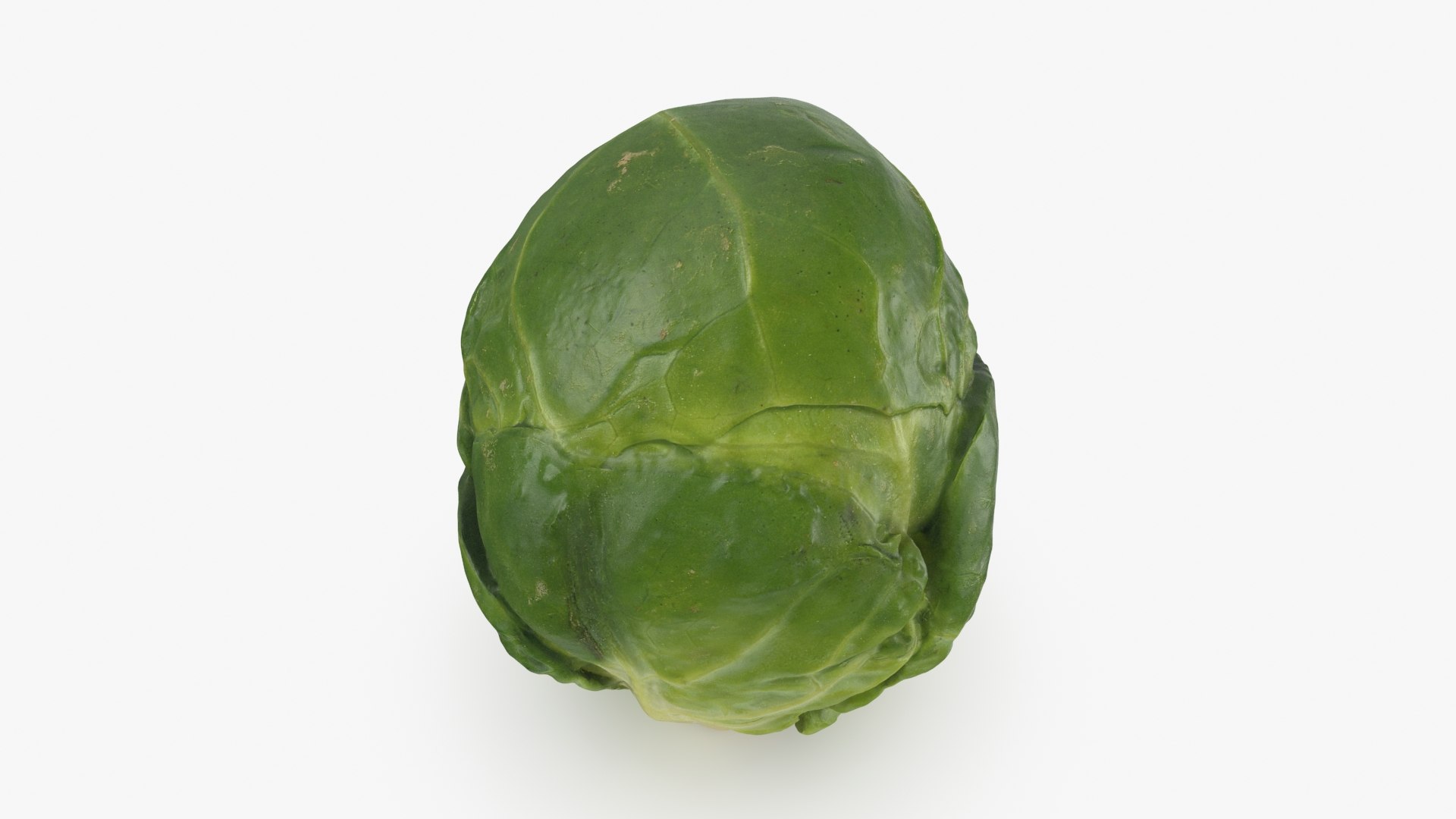 3D model Brussels Sprout 01 https://p.turbosquid.com/ts-thumb/ky/LRhIna/uK/brusselssprout01_b0016/jpg/1735043425/1920x1080/fit_q87/e6de4eb829e723d174bdf20bc6382e81baabc1fd/brusselssprout01_b0016.jpg