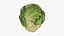 Rosenkohl 01