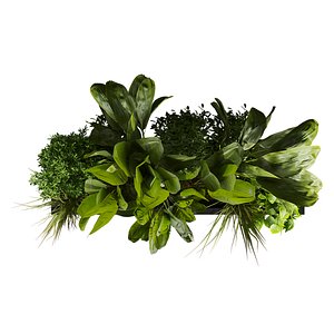 plant vol 702 - banana - grass - pothos 3D model