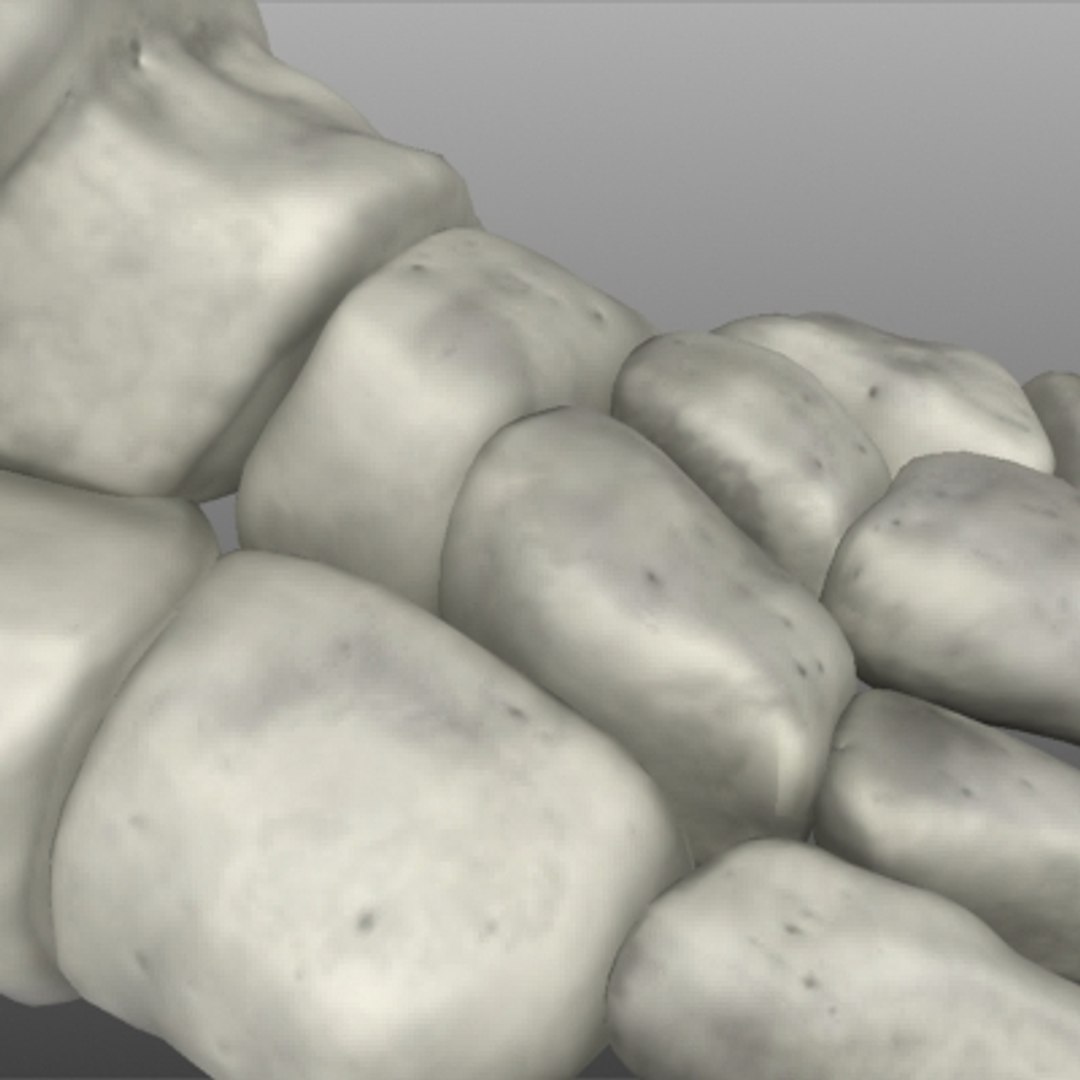 foot bones human max https://p.turbosquid.com/ts-thumb/ky/ZXTfY1/GV1uUux7/detail/jpg/1267504093/1920x1080/fit_q87/510e9fab8e1e35d6d45dfbc73684d2cfaa8739e6/detail.jpg
