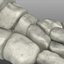 Human Foot Bones