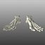 Human Foot Bones