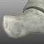 Human Foot Bones