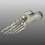 Human Foot Bones