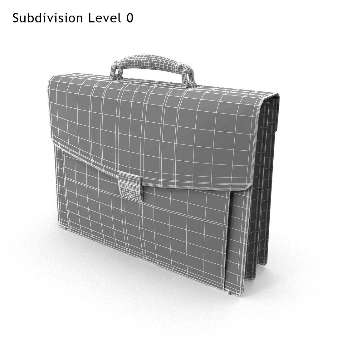 3d Model Briefcase Case