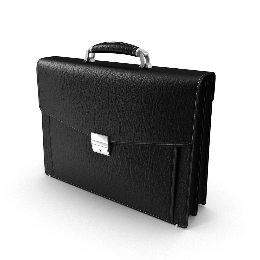 3d Model Briefcase Case