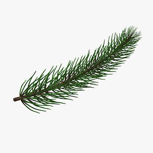 tree branch fir model