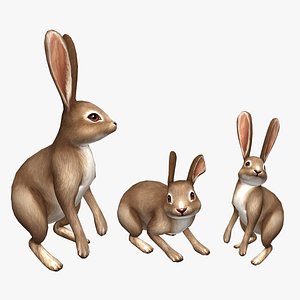 rabbit 3D model