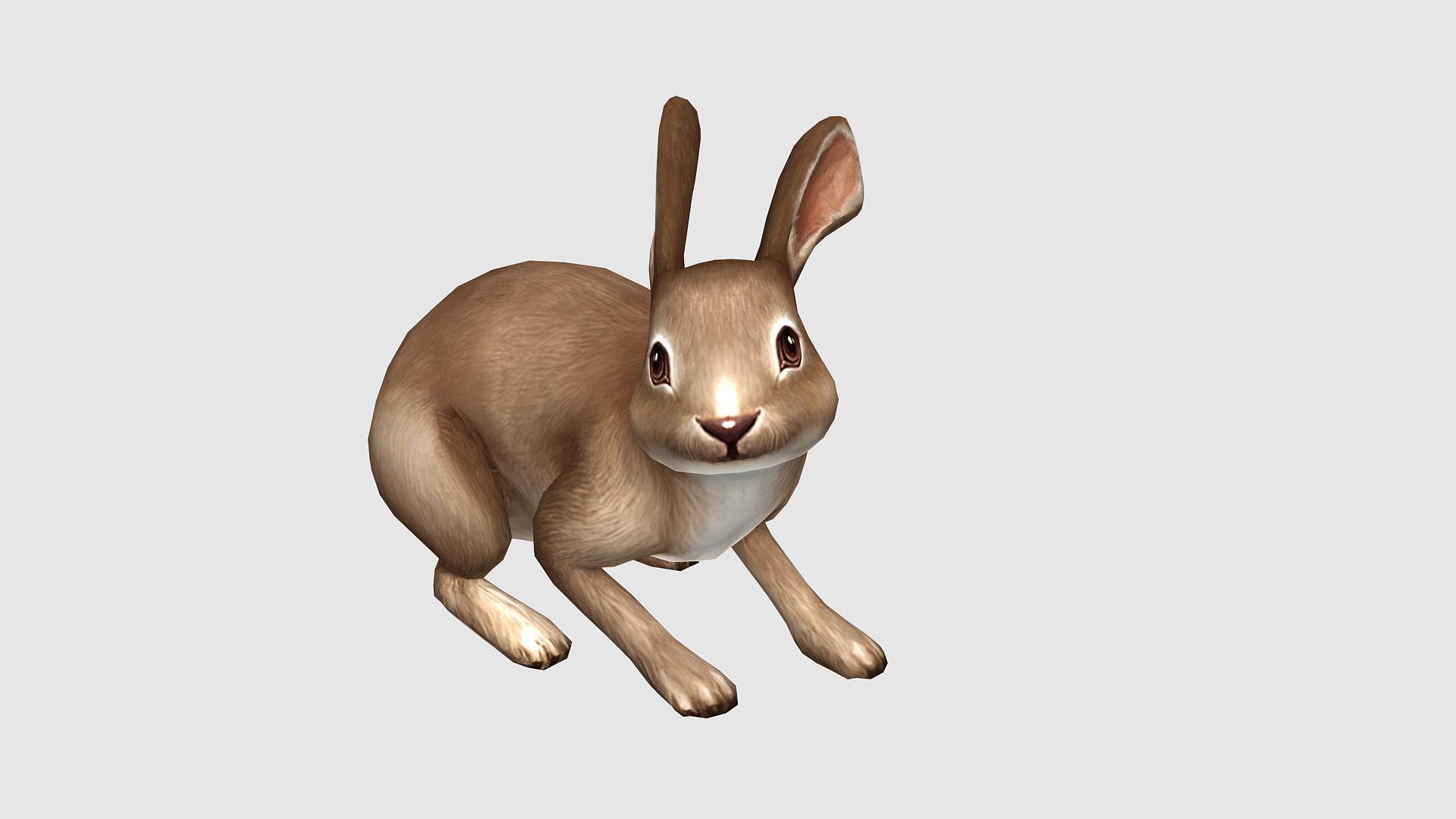 Rabbit 3D model - TurboSquid 2176028