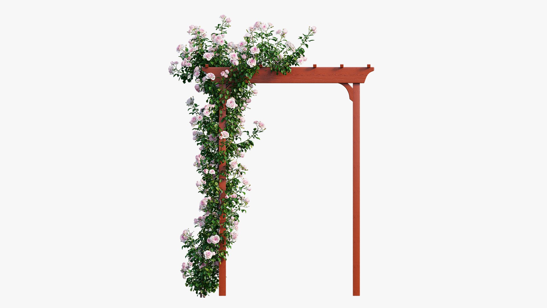 rose plant set 18 3D model https://p.turbosquid.com/ts-thumb/kz/2qmsoB/383tKUnF/10/jpg/1603557752/1920x1080/fit_q87/5e0071f24102d83a697ffd2a154706ece1f1b47a/10.jpg
