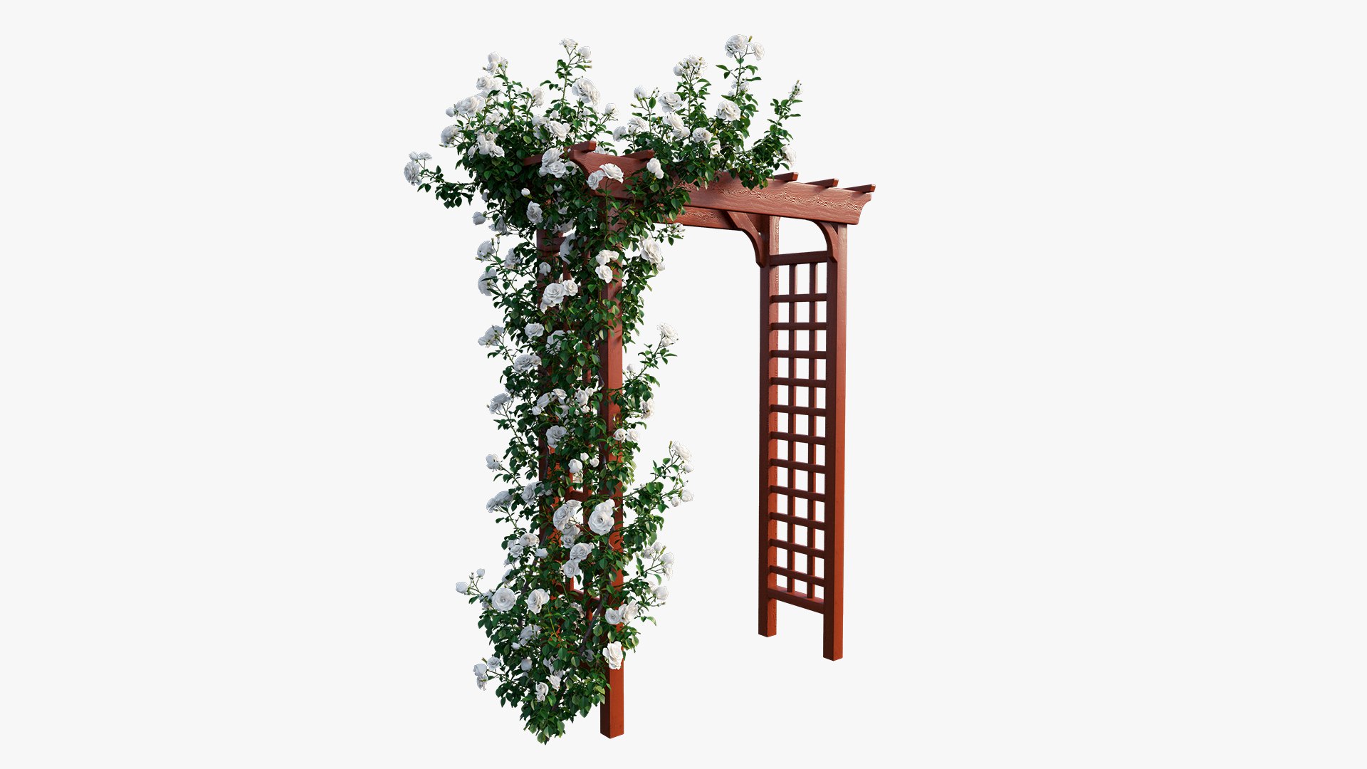 rose plant set 18 3D model https://p.turbosquid.com/ts-thumb/kz/2qmsoB/CeQR2ACu/8/jpg/1603557752/1920x1080/fit_q87/c1480b986a47f842203d5c5992fe8a688ae45d8c/8.jpg