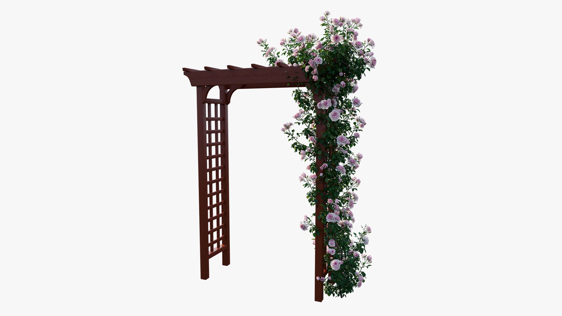 rose plant set 18 3D model https://p.turbosquid.com/ts-thumb/kz/2qmsoB/u3EDHvgf/9/jpg/1603557752/1920x1080/fit_q87/587d60b52d7886ac0dd9d895cb8841426c64ef51/9.jpg