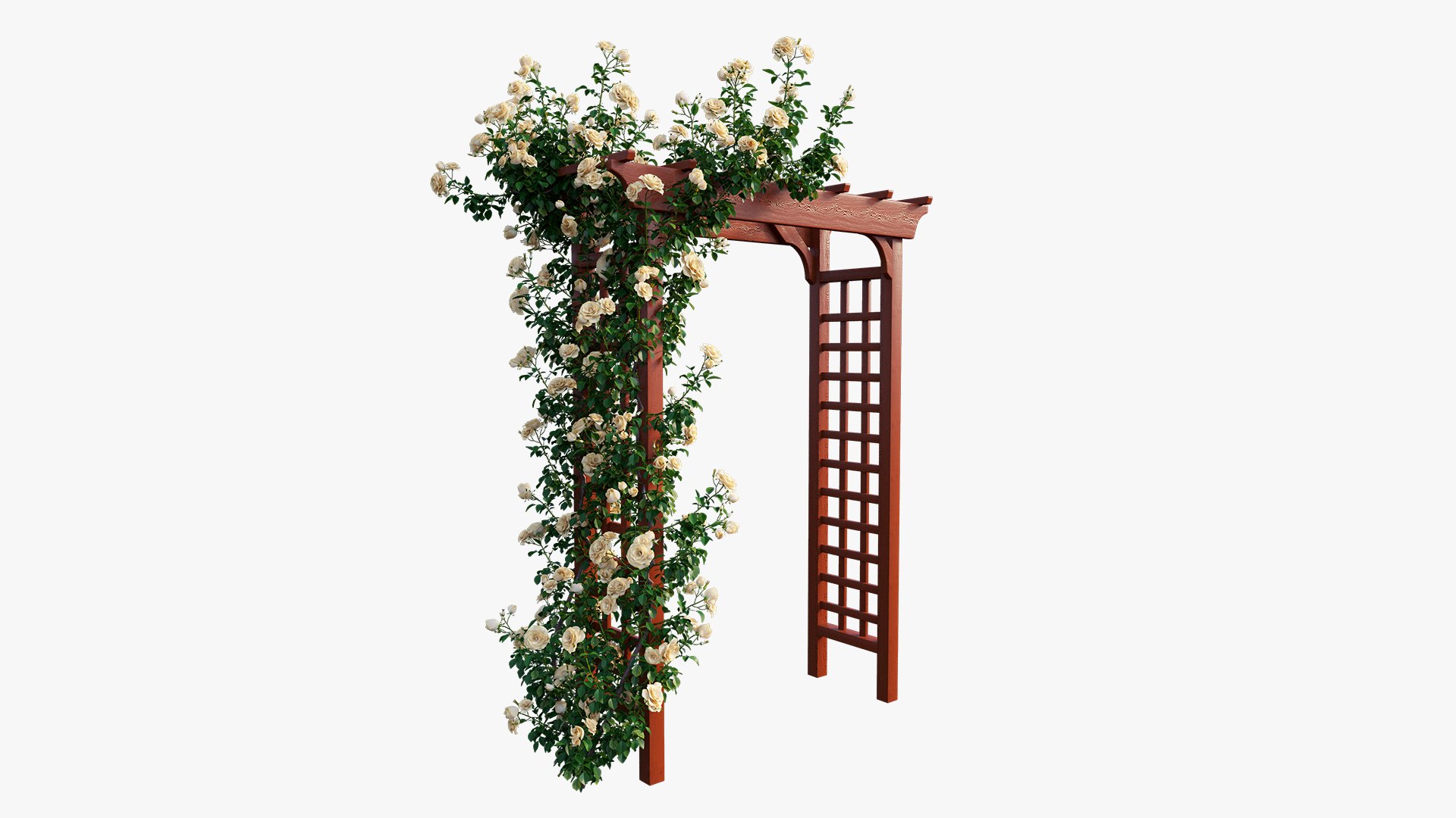 rose plant set 18 3D model https://p.turbosquid.com/ts-thumb/kz/2qmsoB/uw76rmX8/7/jpg/1603557751/1920x1080/fit_q87/6f45ede345ca952f2ffd442599df79a3c733af37/7.jpg