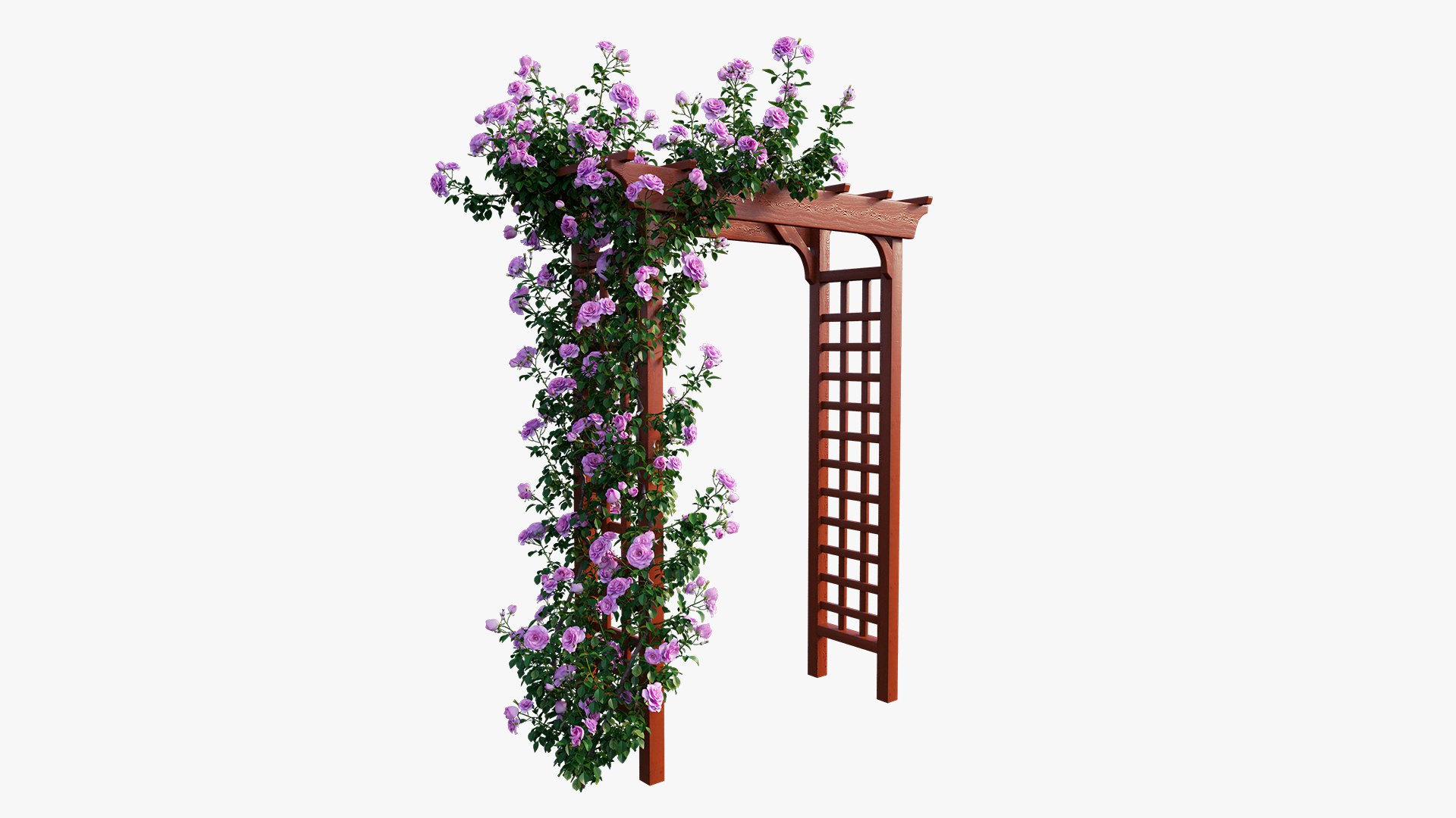 rose plant set 18 3D model https://p.turbosquid.com/ts-thumb/kz/2qmsoB/yysf9aTn/4/jpg/1603557751/1920x1080/fit_q87/5920f29f2a7be67444f9b969e1c14ff0a13d79b9/4.jpg