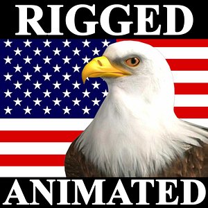 Animated Bald Eagle 3D Models With Enhanced License Tiers For Download ...
