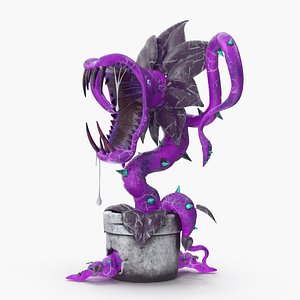 Carnivorous Plant Purple