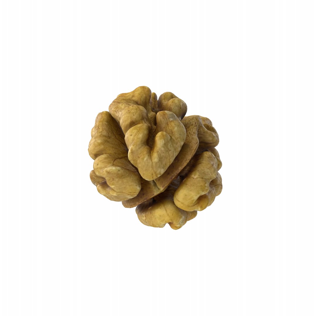 3D Model Walnut - TurboSquid 2404028