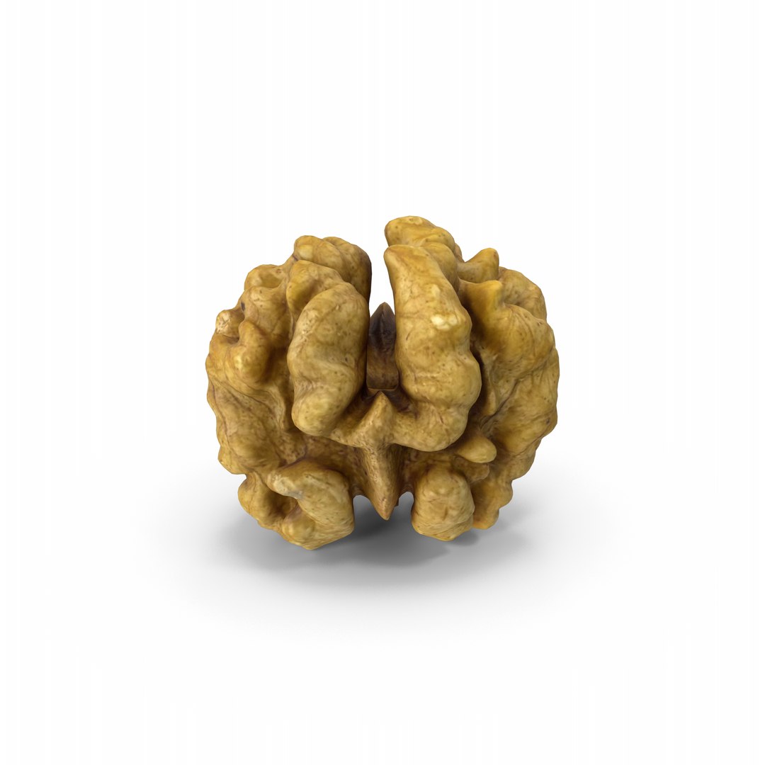3D Model Walnut - TurboSquid 2404028
