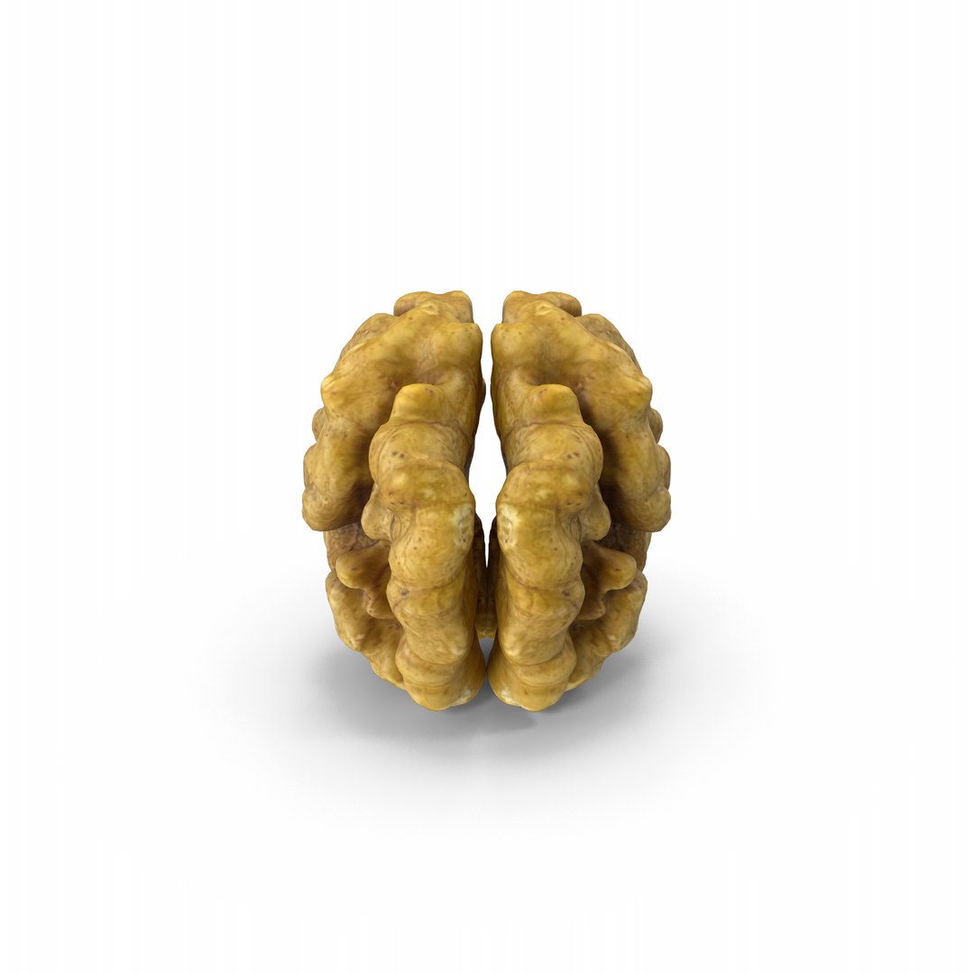 3D Model Walnut - TurboSquid 2404028
