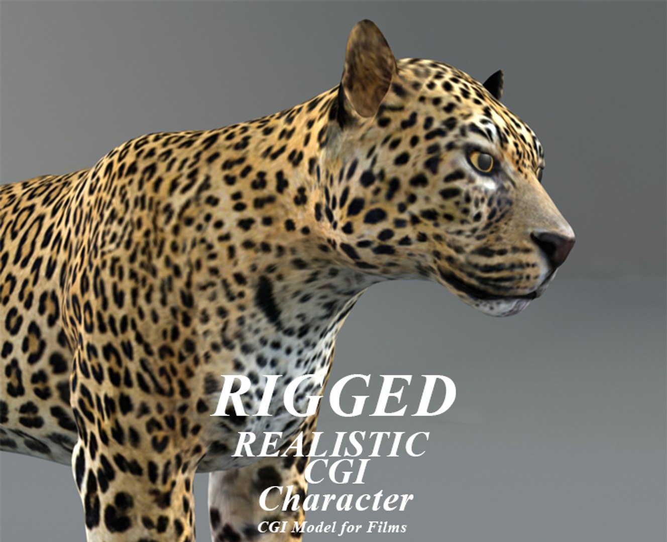 Rigged Leopard 3D Model - TurboSquid 1283702
