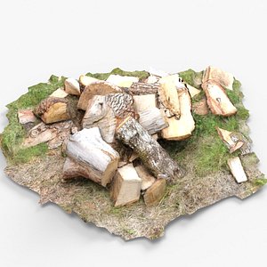 Wood Piece Pile