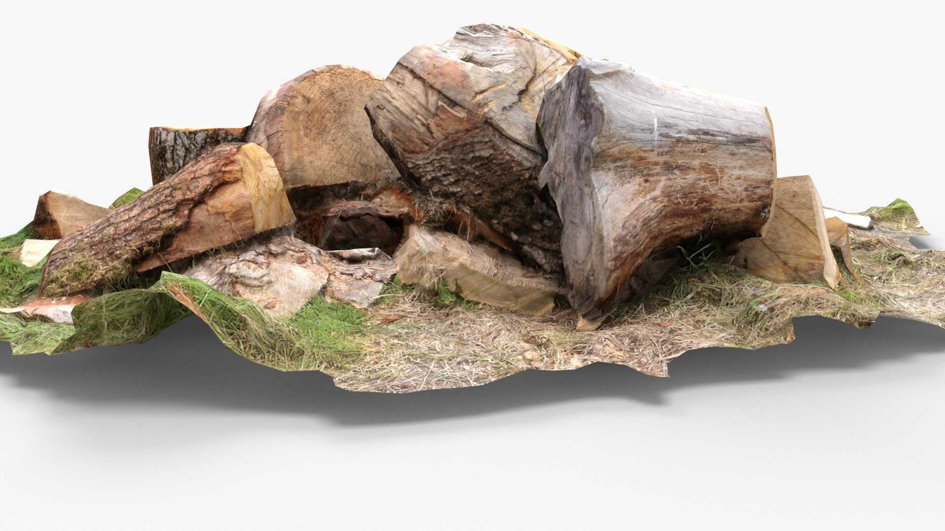 3D Wood piece pile model https://p.turbosquid.com/ts-thumb/kz/hRHMDi/qd/preview_6/jpg/1628272563/1920x1080/fit_q87/161e1be9dbd7bafe6b1abb47820f77491441e861/preview_6.jpg