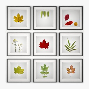 3d graphic design photo wall model