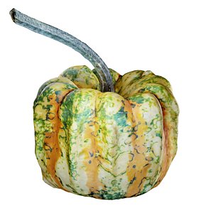 photorealistic decorative gourd 3D model