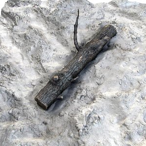 sand beach logs 3ds