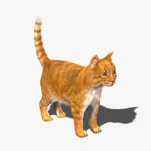 3d model cat orange tabby fur
